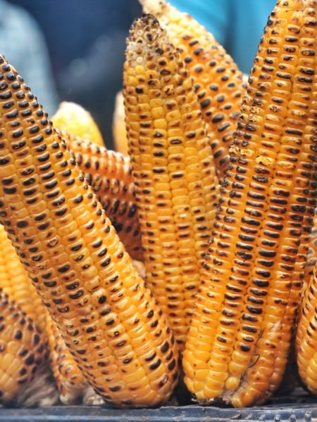 close photo of grilled corn